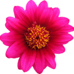 png-g3dfd594ad_1920