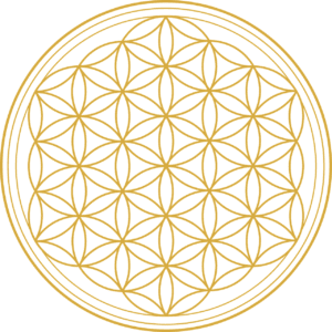 flower-of-life-g684558964_1280