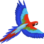 bird-2028367_1280