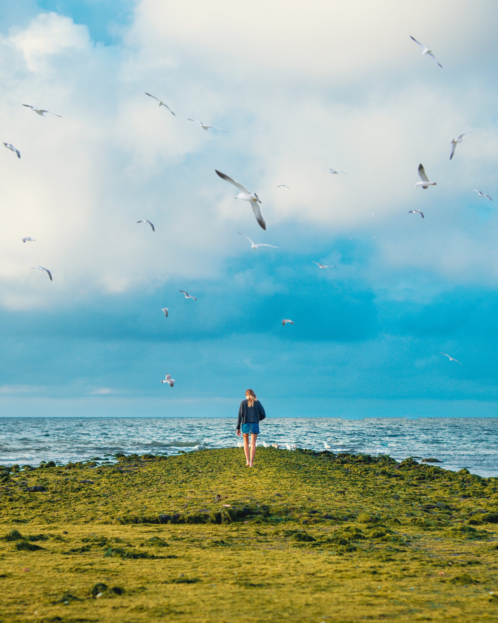 sebastian-staines-uT6T6kernVo-unsplash