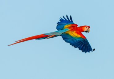 zdenek-machacek-vIx55PnjL58-unsplash