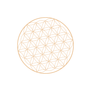 Flower of LIfe copy