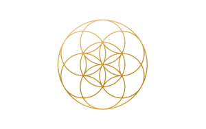 Seed of Life